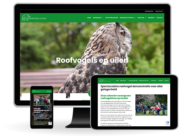 Roofvogels en Uilen Dinteloord